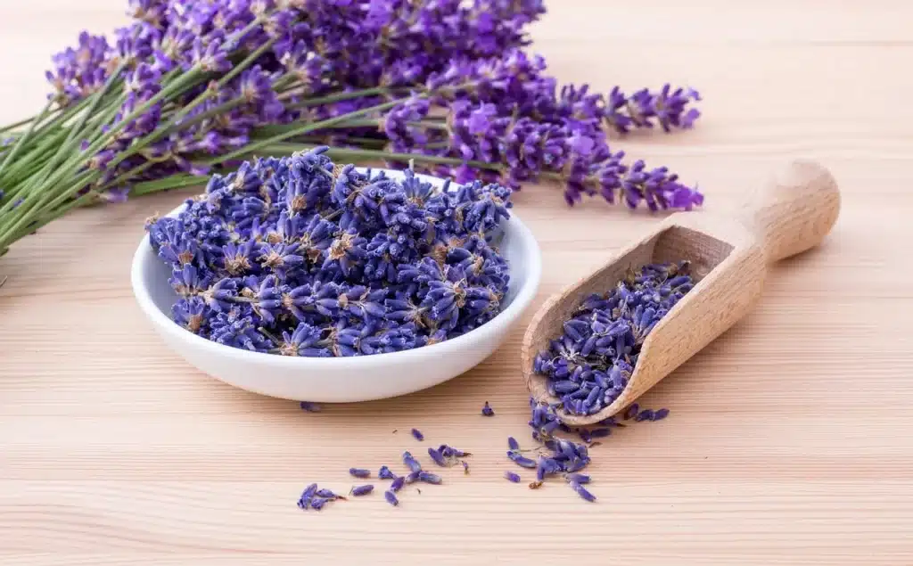 esencia de lavanda para la relajación
